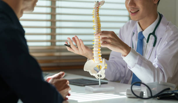 Spine Image
